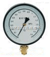 DL19-YTNX-150电接点压力表  不锈钢电接点压力仪  抗震电接点压力分析仪