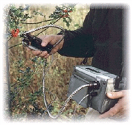 JC11-YGFMS2便携式调制叶绿素荧光仪 叶绿素调制荧光仪 叶绿素荧光测试仪