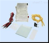 DL19-DYCZ-23A单垂直电泳槽 单垂直电泳仪 电泳分析仪