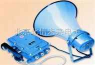 DL13-ZT-1防爆扩音对讲直通电话 防爆电话仪 扩音直通电话机